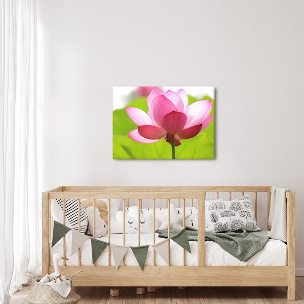 Slika cvijeta lotosa (70x50 cm)