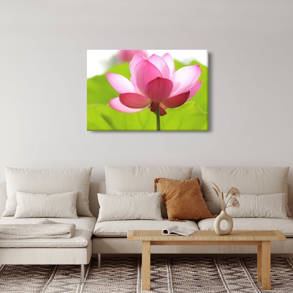Slika cvijeta lotosa (90x60 cm)