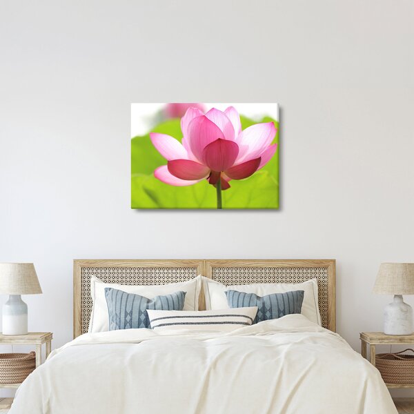 Slika cvijeta lotosa (70x50 cm)