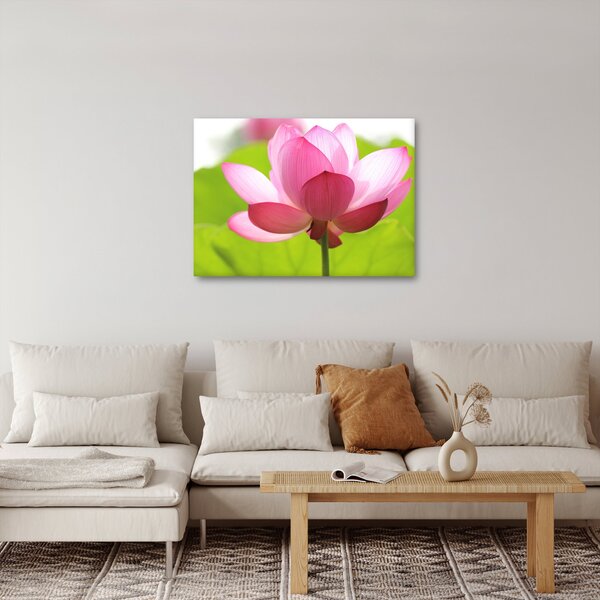 Slika cvijeta lotosa (70x50 cm)