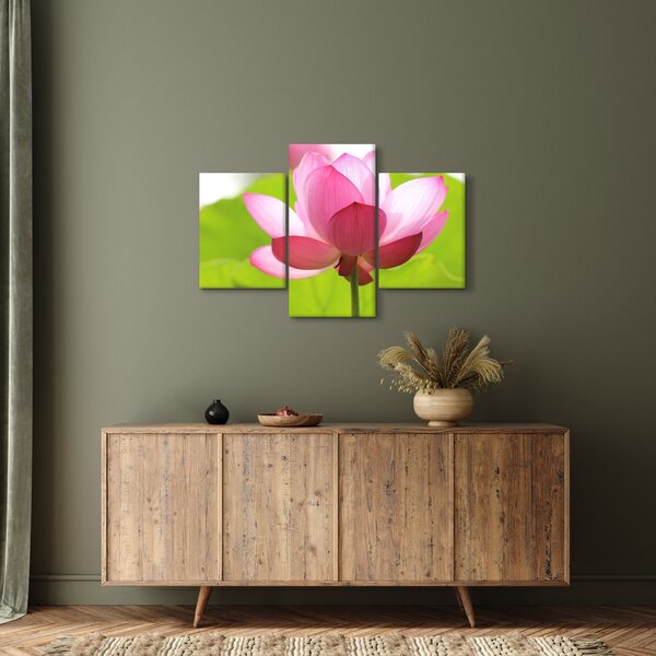 Slika cvijeta lotosa (90x60 cm)