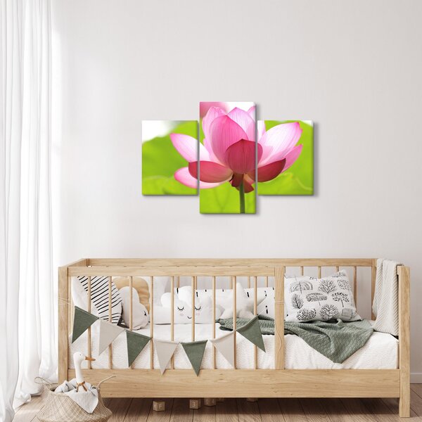 Slika cvijeta lotosa (90x60 cm)