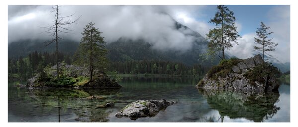 Slika drveća u jezeru (120x50 cm)