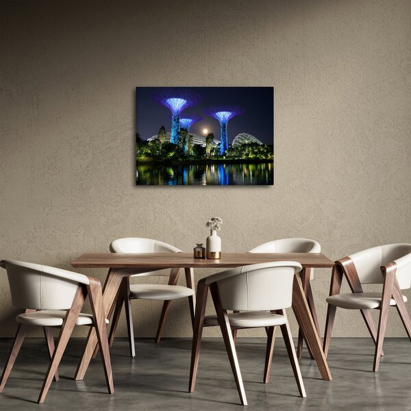 Slika punog mjeseca u singapurskim vrtovima (70x50 cm)
