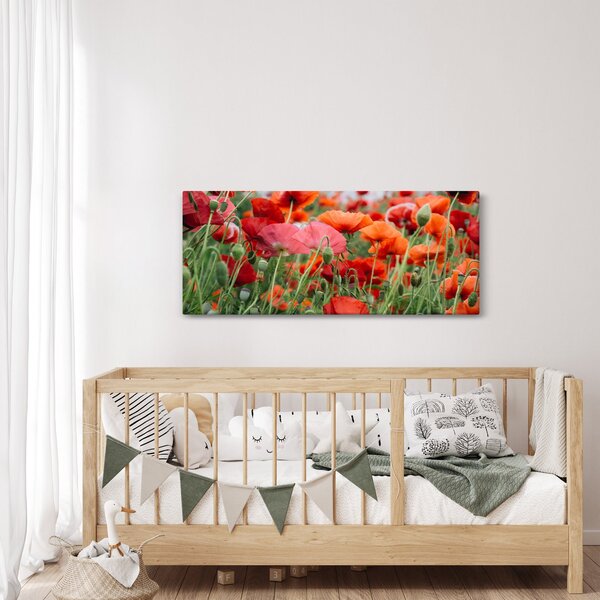 Slika polja maka (120x50 cm)