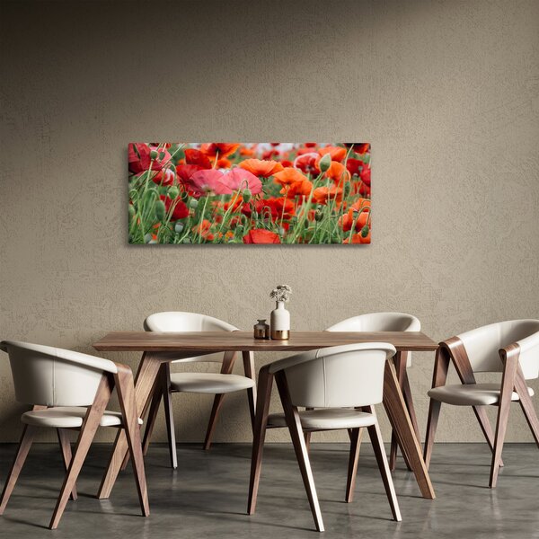 Slika polja maka (120x50 cm)