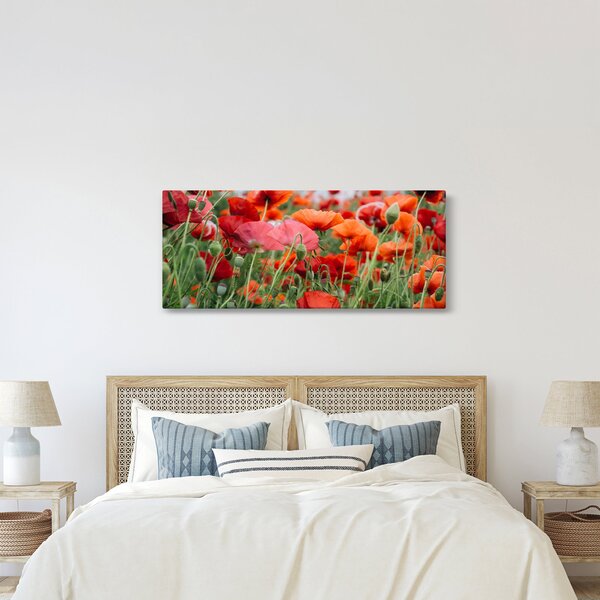 Slika polja maka (120x50 cm)