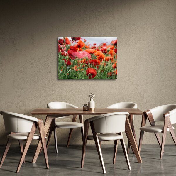 Slika polja maka (70x50 cm)