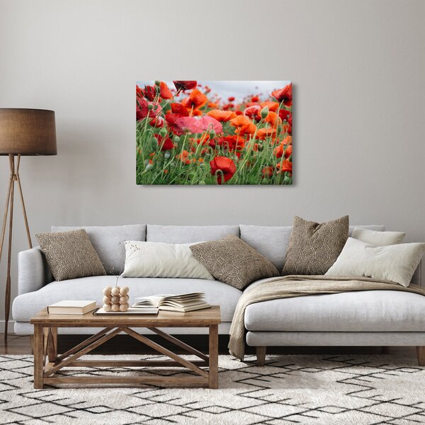 Slika polja maka (90x60 cm)