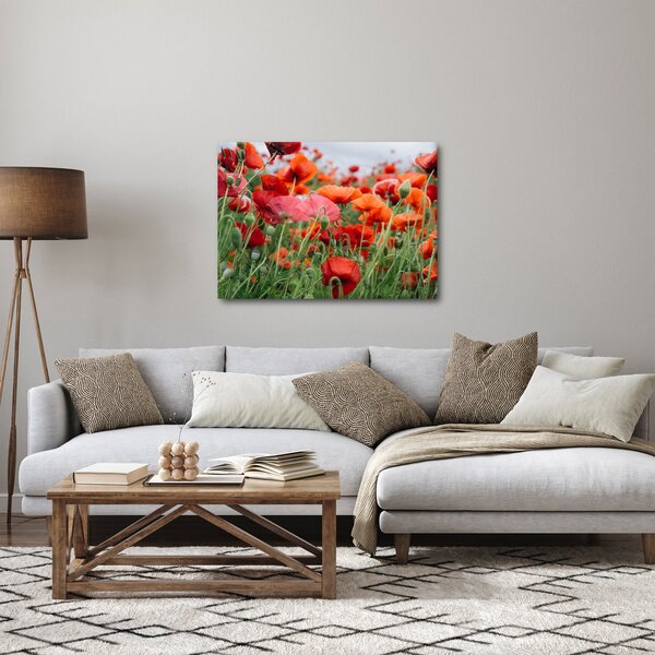 Slika polja maka (70x50 cm)