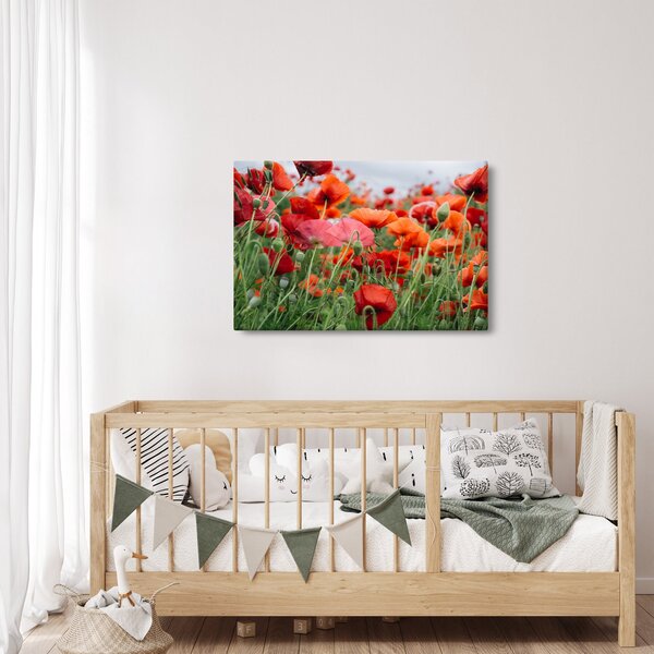 Slika polja maka (90x60 cm)