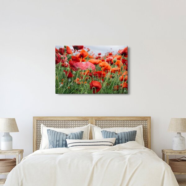 Slika polja maka (90x60 cm)