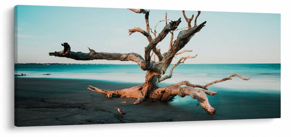 Slika - Naplavine na plaži (120x50 cm)