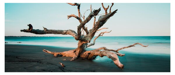 Slika - Naplavine na plaži (120x50 cm)