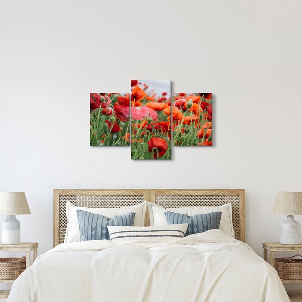Slika polja maka (90x60 cm)