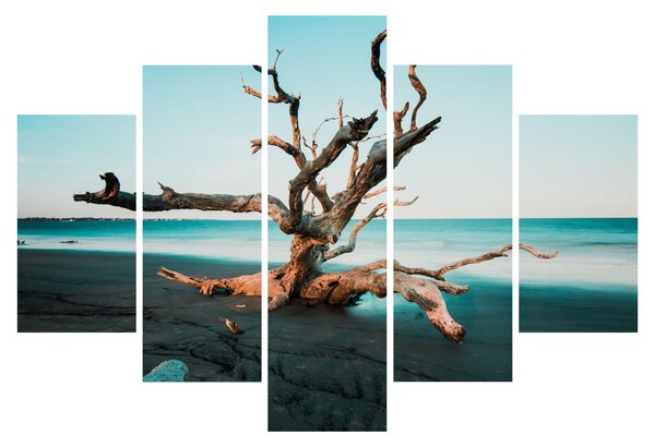 Slika - Naplavine na plaži (150x105 cm)