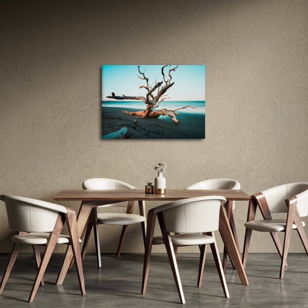 Slika - Naplavine na plaži (70x50 cm)