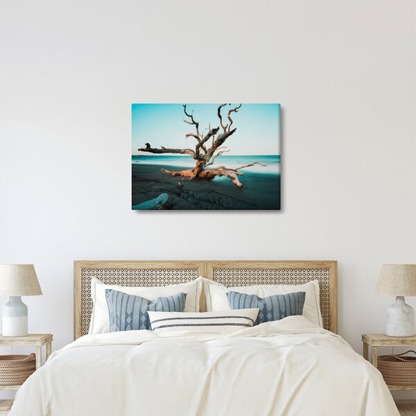 Slika - Naplavine na plaži (70x50 cm)