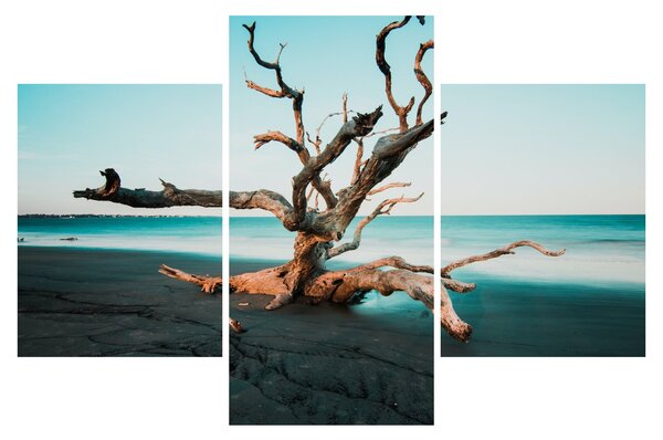 Slika - Naplavine na plaži (90x60 cm)