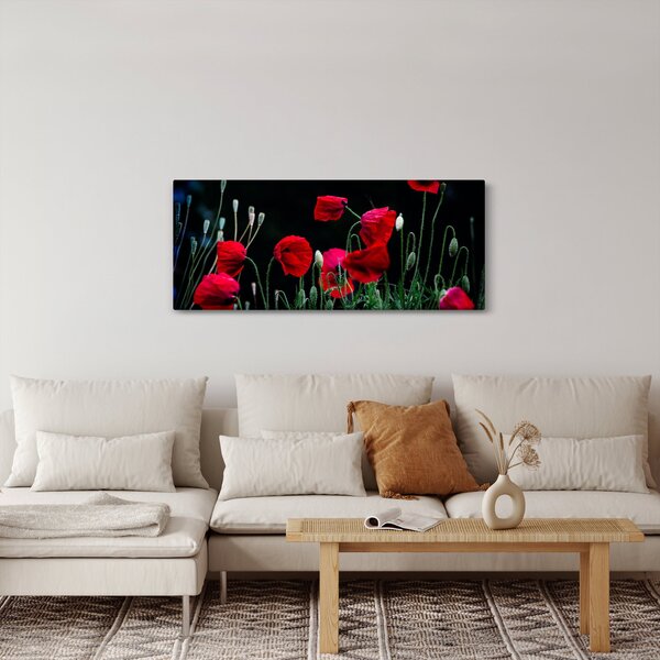 Slika - Ples makova (120x50 cm)