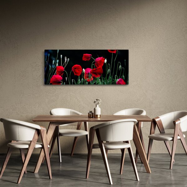 Slika - Ples makova (120x50 cm)