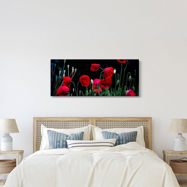 Slika - Ples makova (120x50 cm)