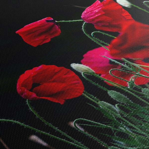 Slika - Ples makova (90x60 cm)