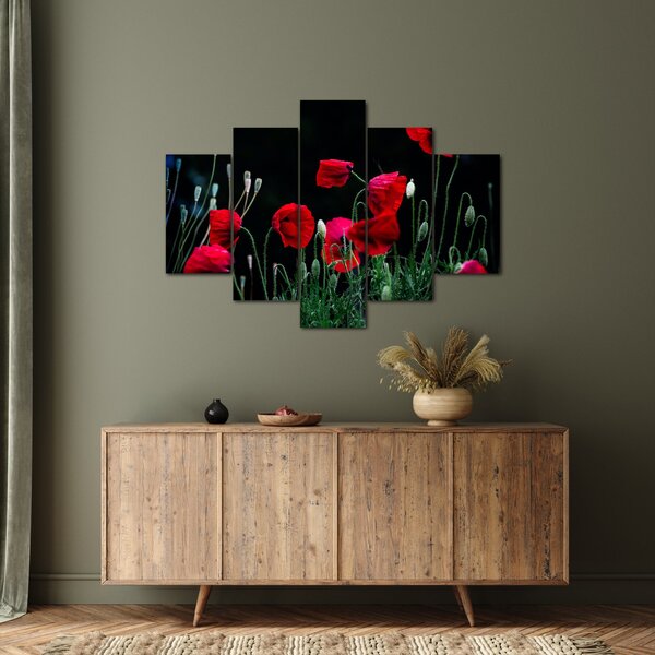 Slika - Ples makova (150x105 cm)