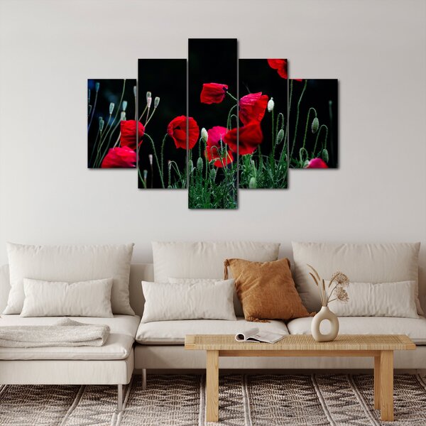 Slika - Ples makova (150x105 cm)