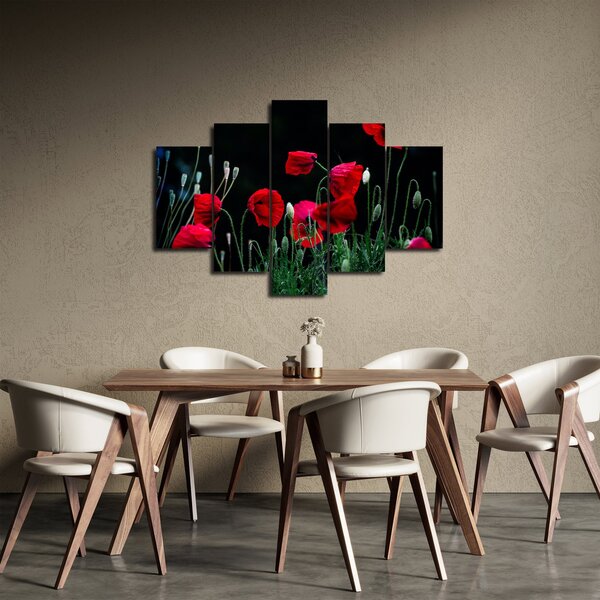 Slika - Ples makova (150x105 cm)