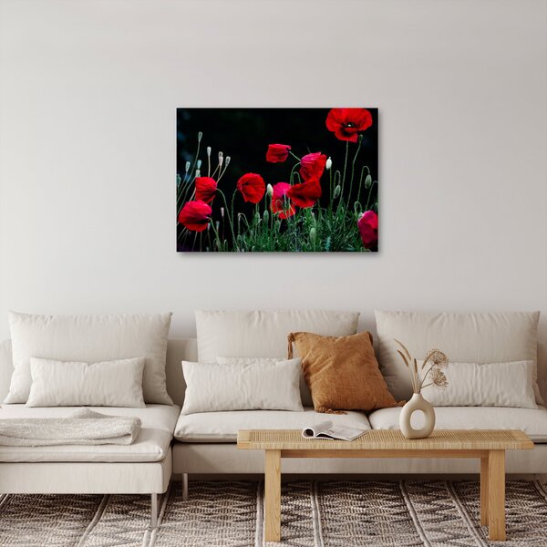 Slika - Ples makova (70x50 cm)