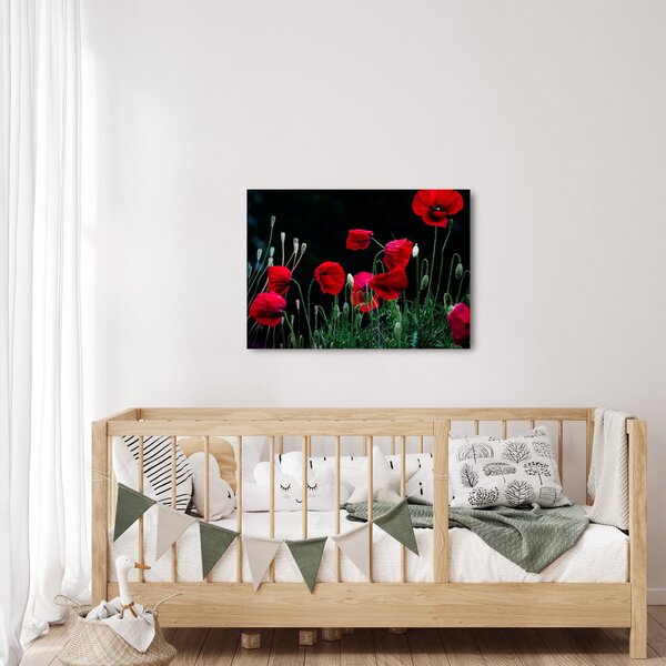 Slika - Ples makova (70x50 cm)