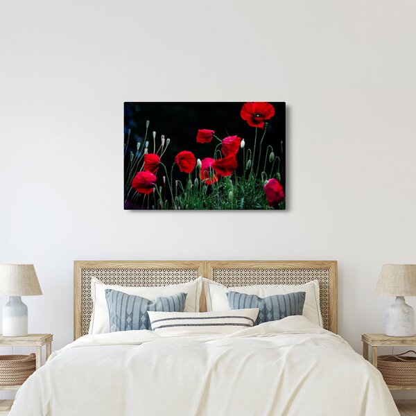 Slika - Ples makova (90x60 cm)