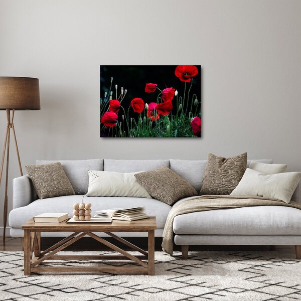 Slika - Ples makova (70x50 cm)