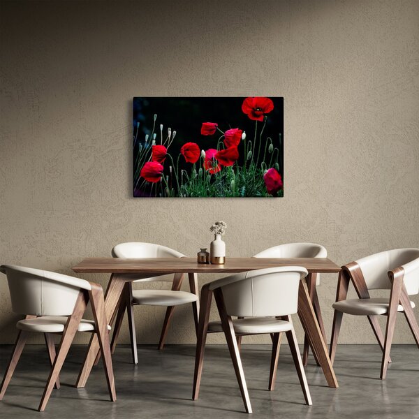Slika - Ples makova (90x60 cm)