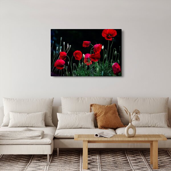 Slika - Ples makova (90x60 cm)