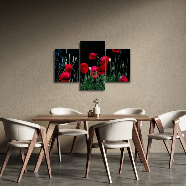 Slika - Ples makova (90x60 cm)