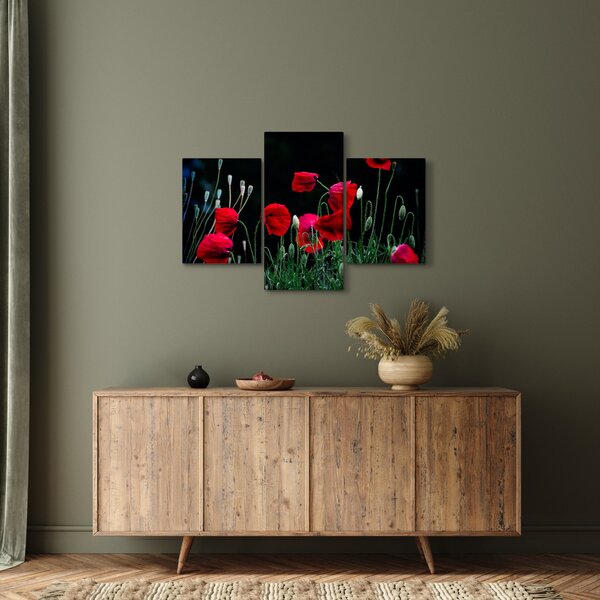 Slika - Ples makova (90x60 cm)