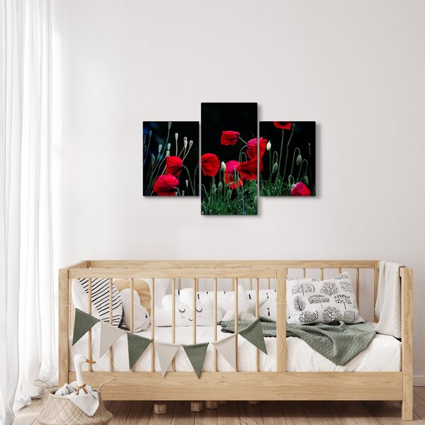 Slika - Ples makova (90x60 cm)