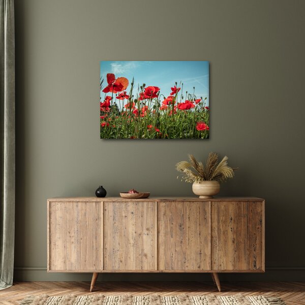 Slika - Na polju makova (70x50 cm)