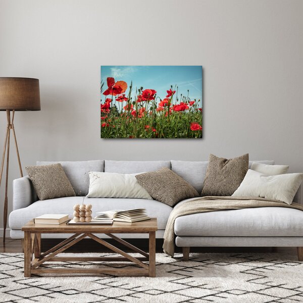 Slika - Na polju makova (70x50 cm)