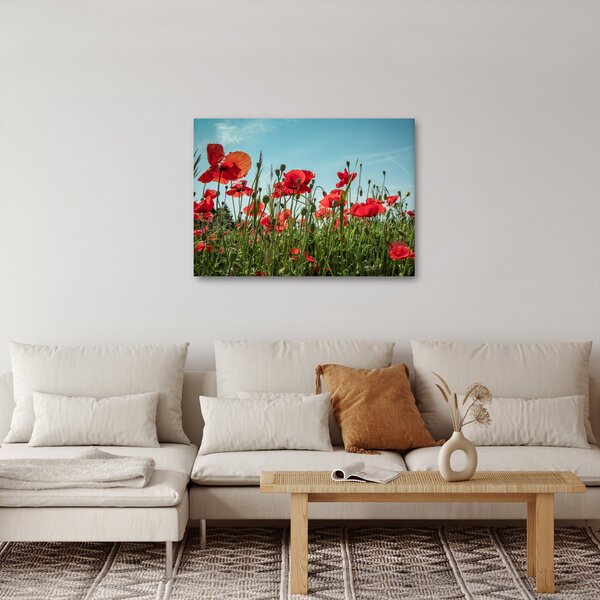 Slika - Na polju makova (70x50 cm)