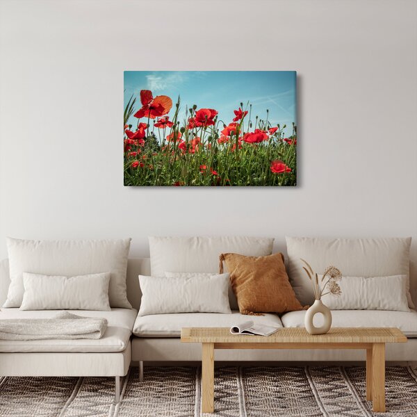 Slika - Na polju makova (90x60 cm)