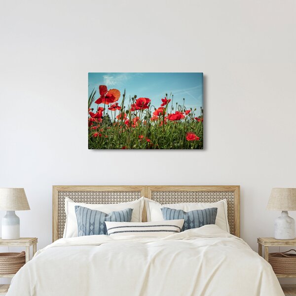 Slika - Na polju makova (90x60 cm)