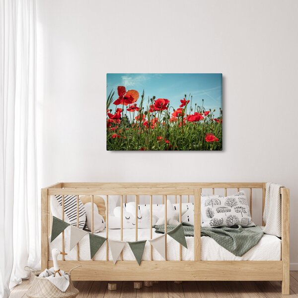 Slika - Na polju makova (90x60 cm)