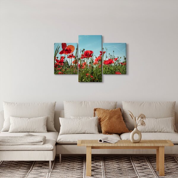 Slika - Na polju makova (90x60 cm)