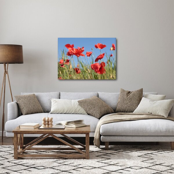 Slika - makovi (70x50 cm)