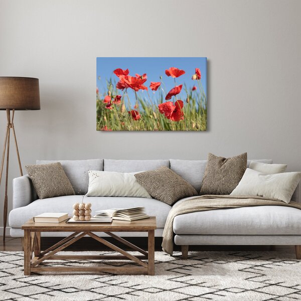 Slika - makovi (90x60 cm)