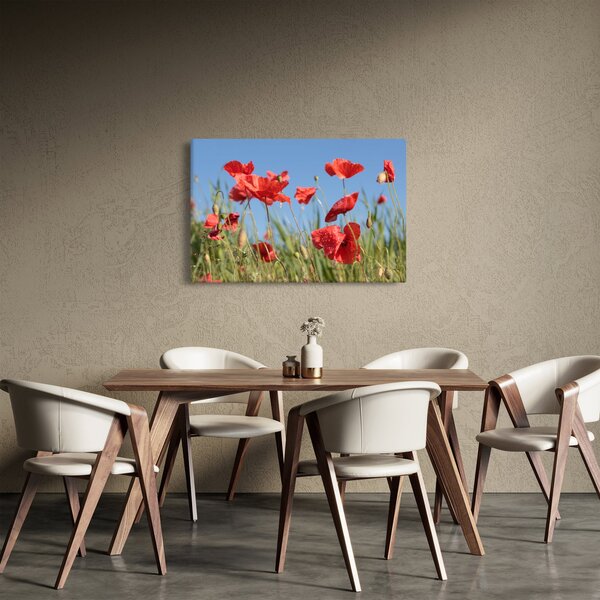 Slika - makovi (90x60 cm)
