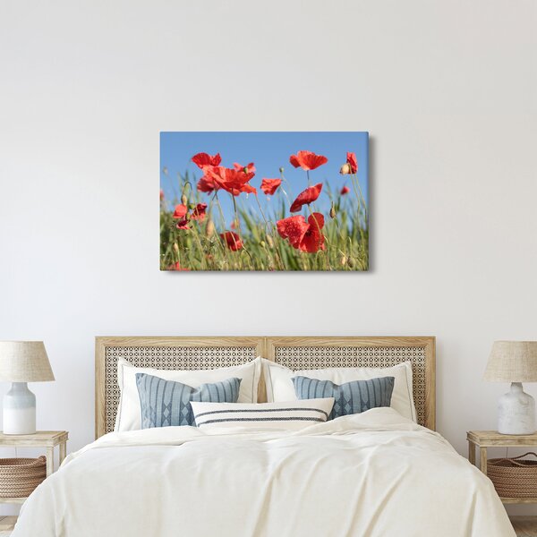 Slika - makovi (90x60 cm)